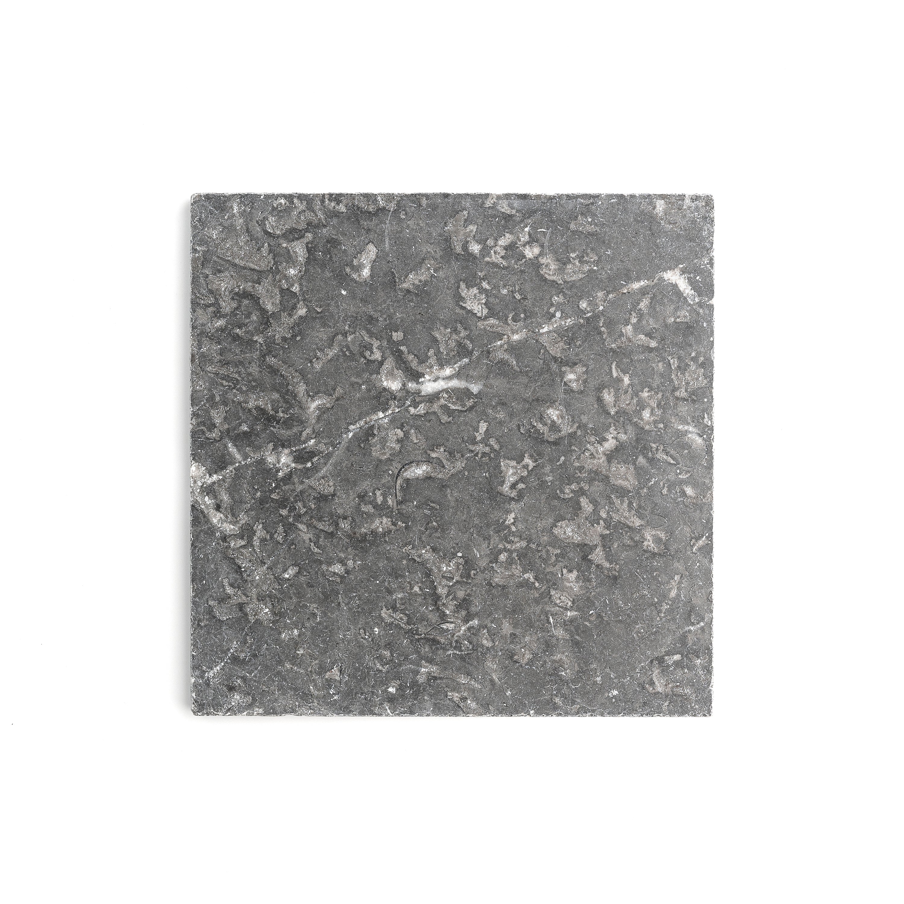 Grey 12x12 Moroccan Marble | Tumbled & Honed - Image 5