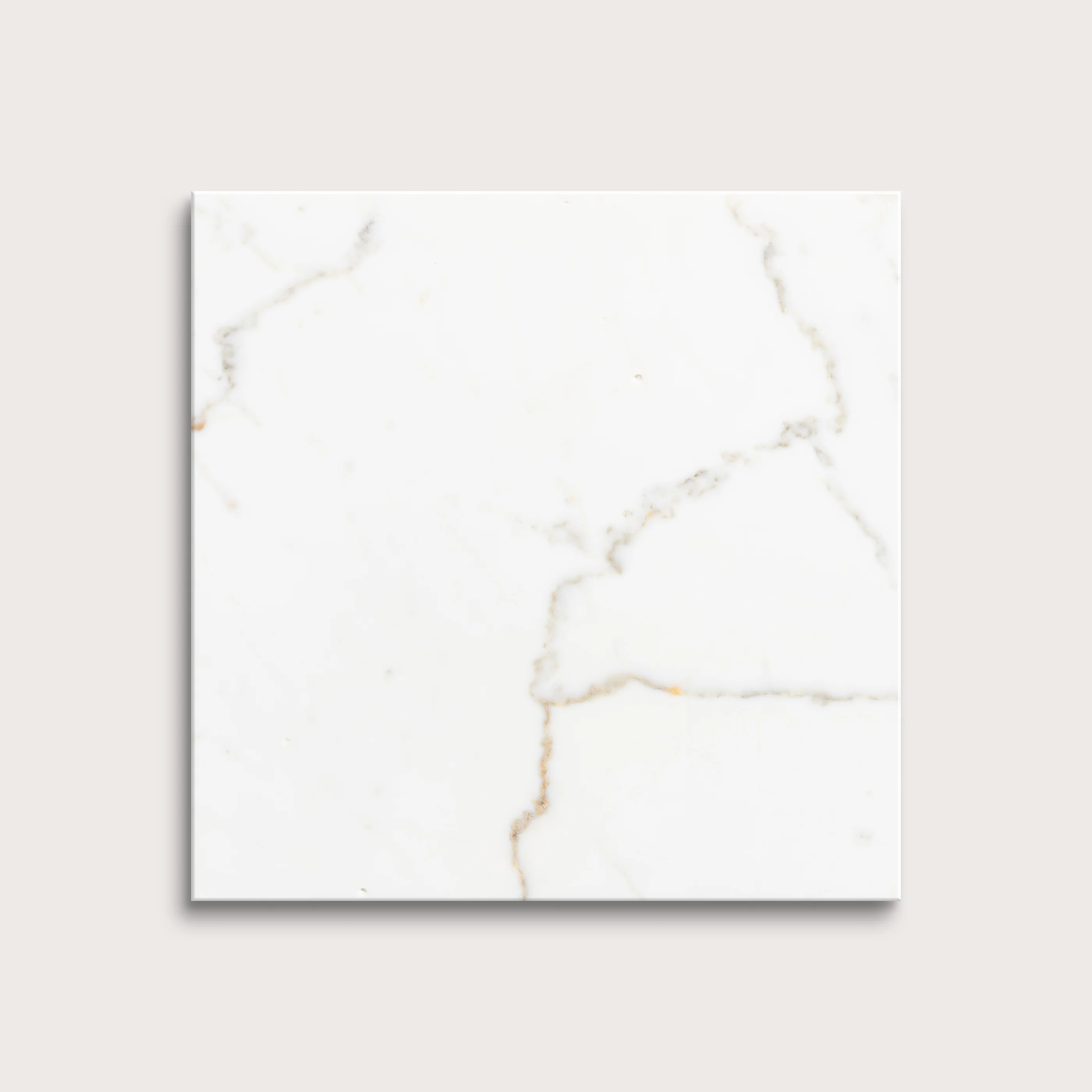 Calacatta Gold 12x12 Marble Tile | Honed - Image 5