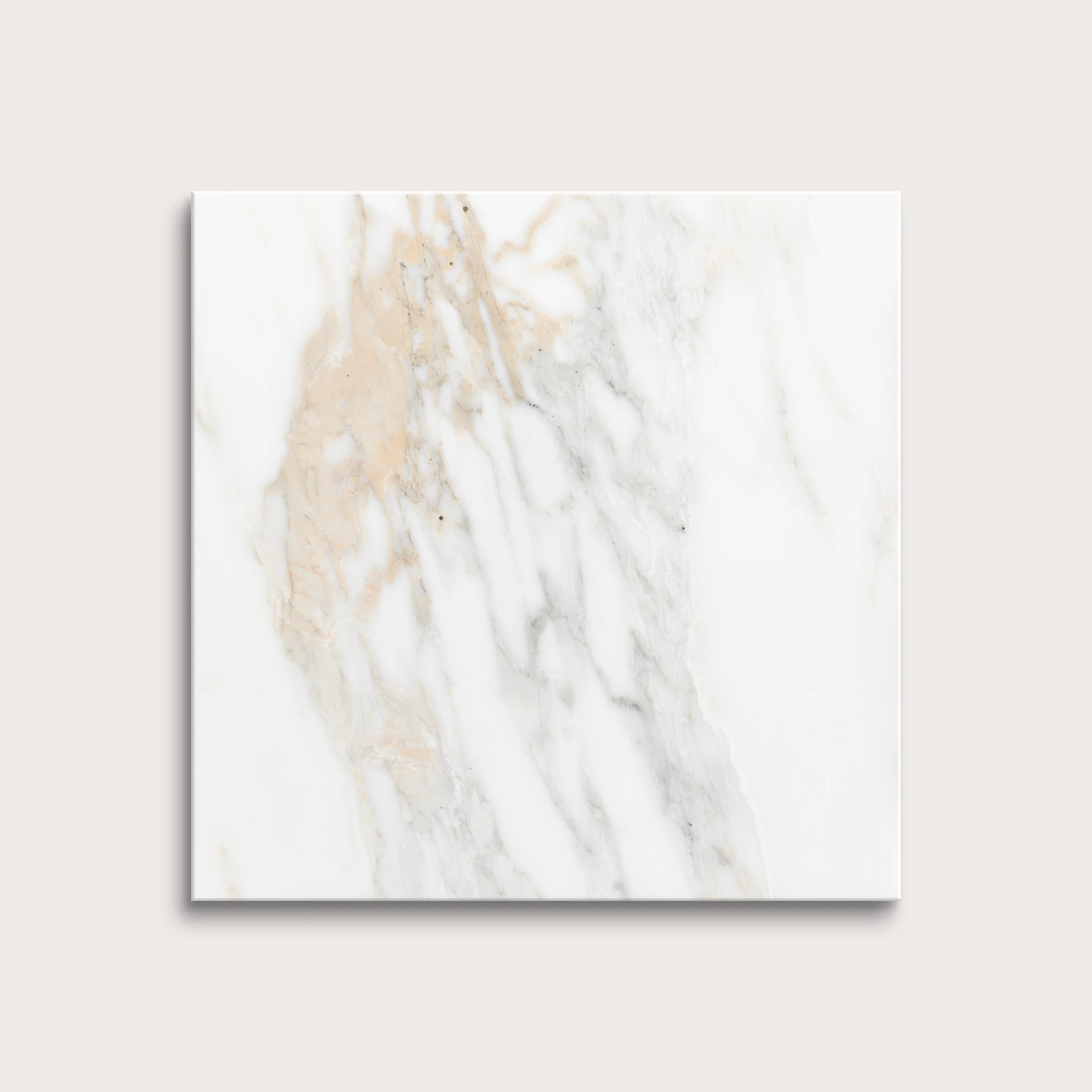 Calacatta Gold 12x12 Marble Tile | Honed - Image 7