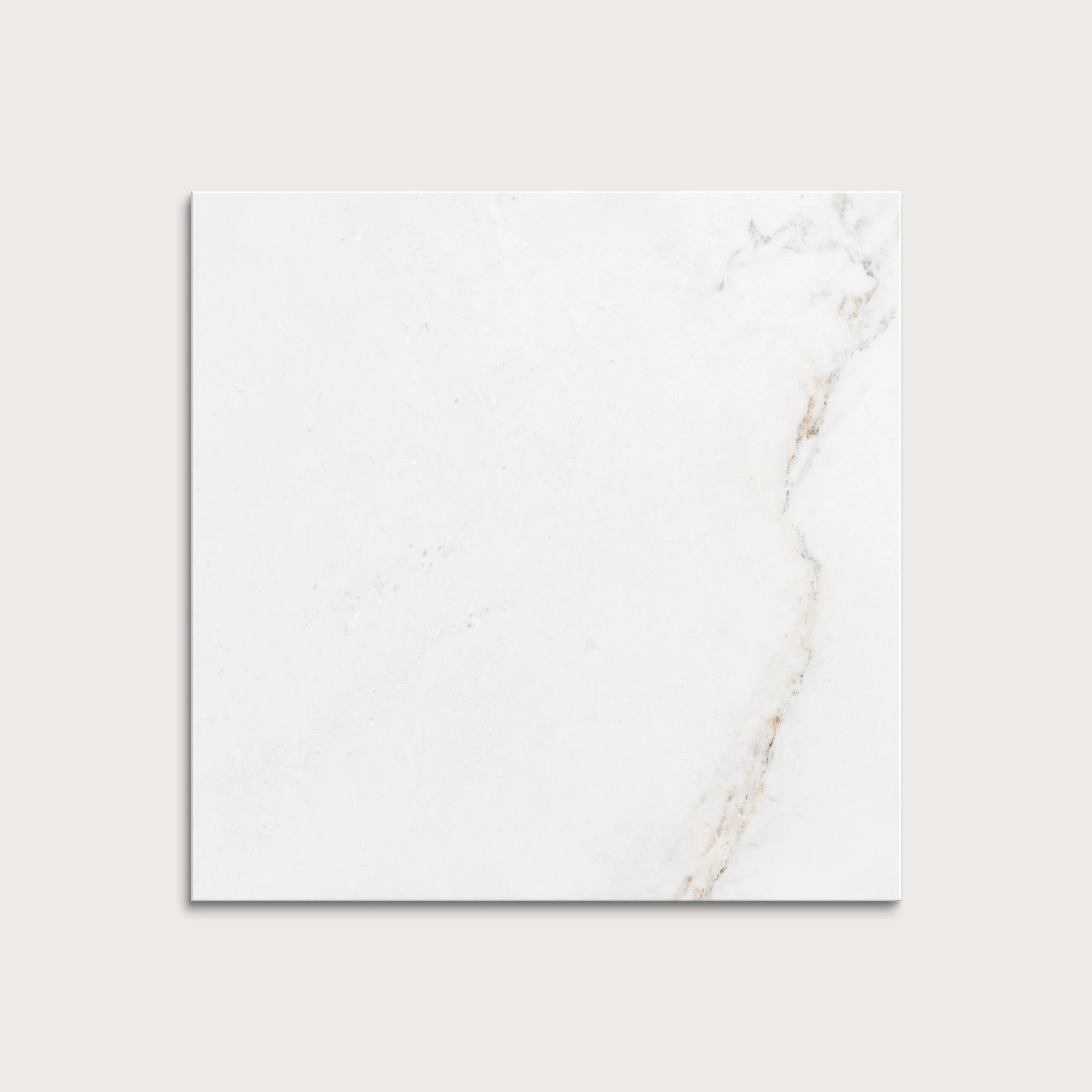 Casablanca Gold 12x12 Marble Tile | Honed - Image 5