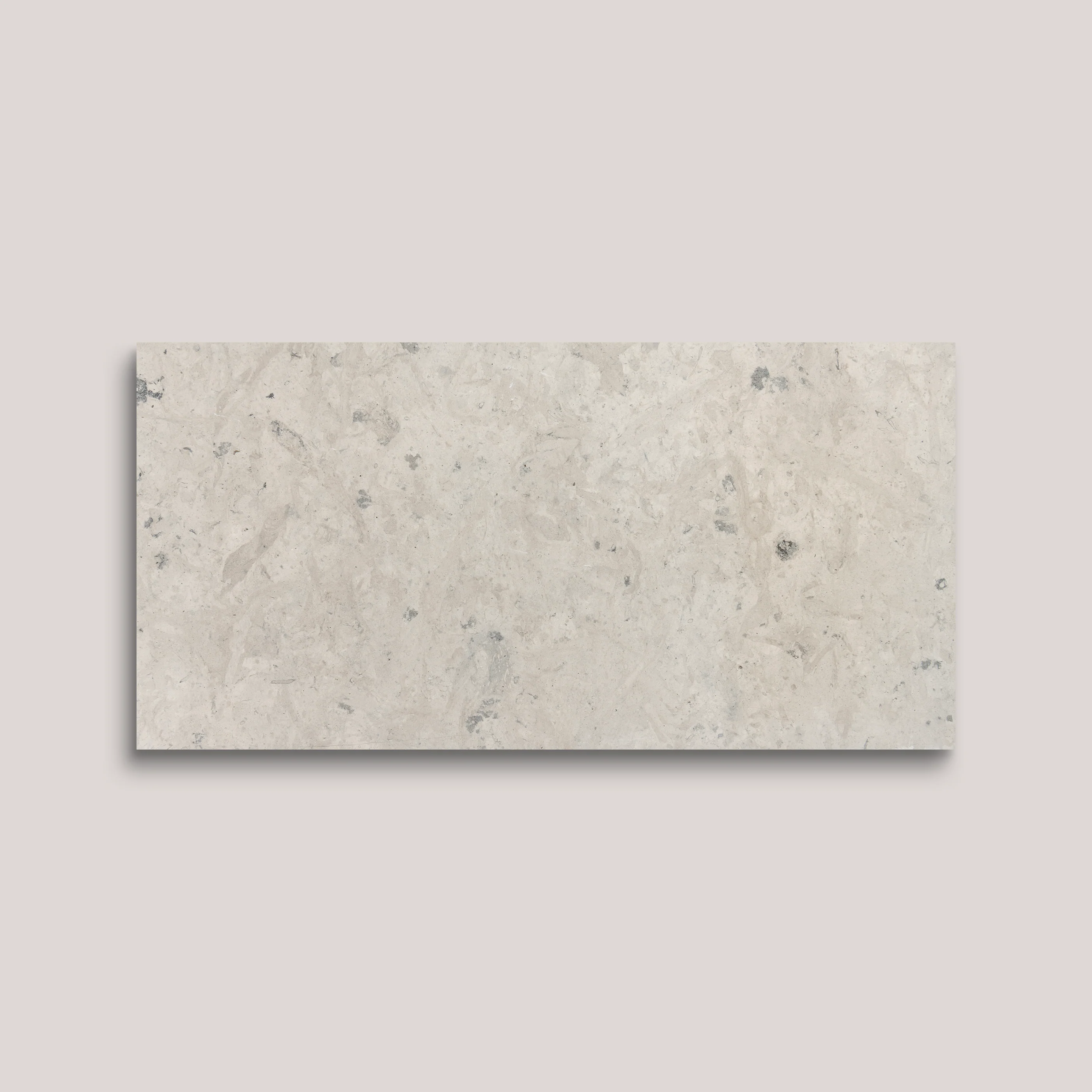 Chateau Grey 12x24 Limestone | Honed - Image 5