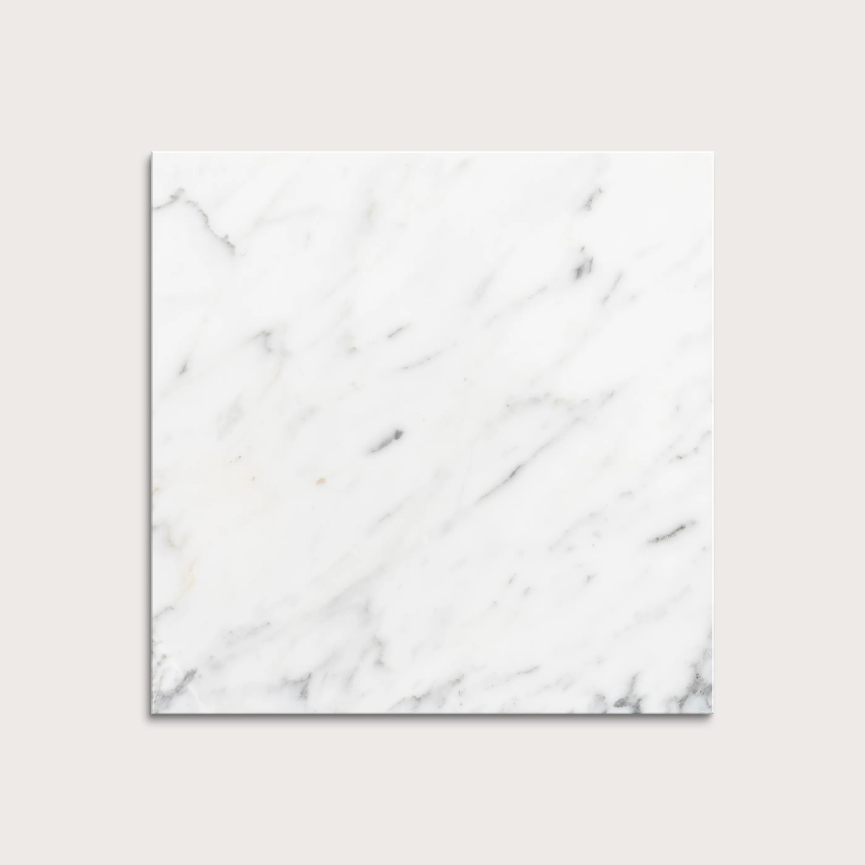 Italian Statuary 12x12 Marble | Honed - Image 4