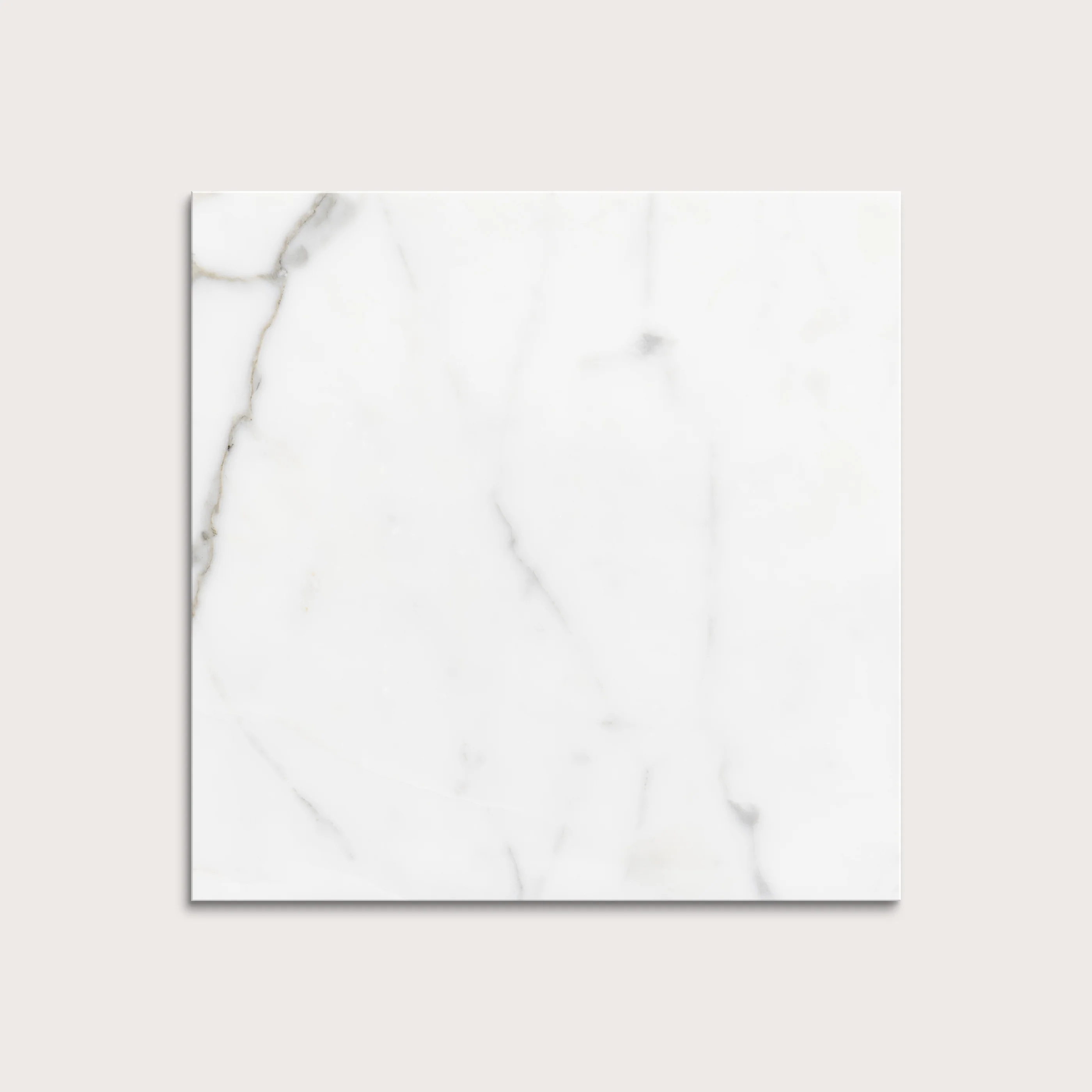 Italian Statuary 12x12 Marble | Honed - Image 5
