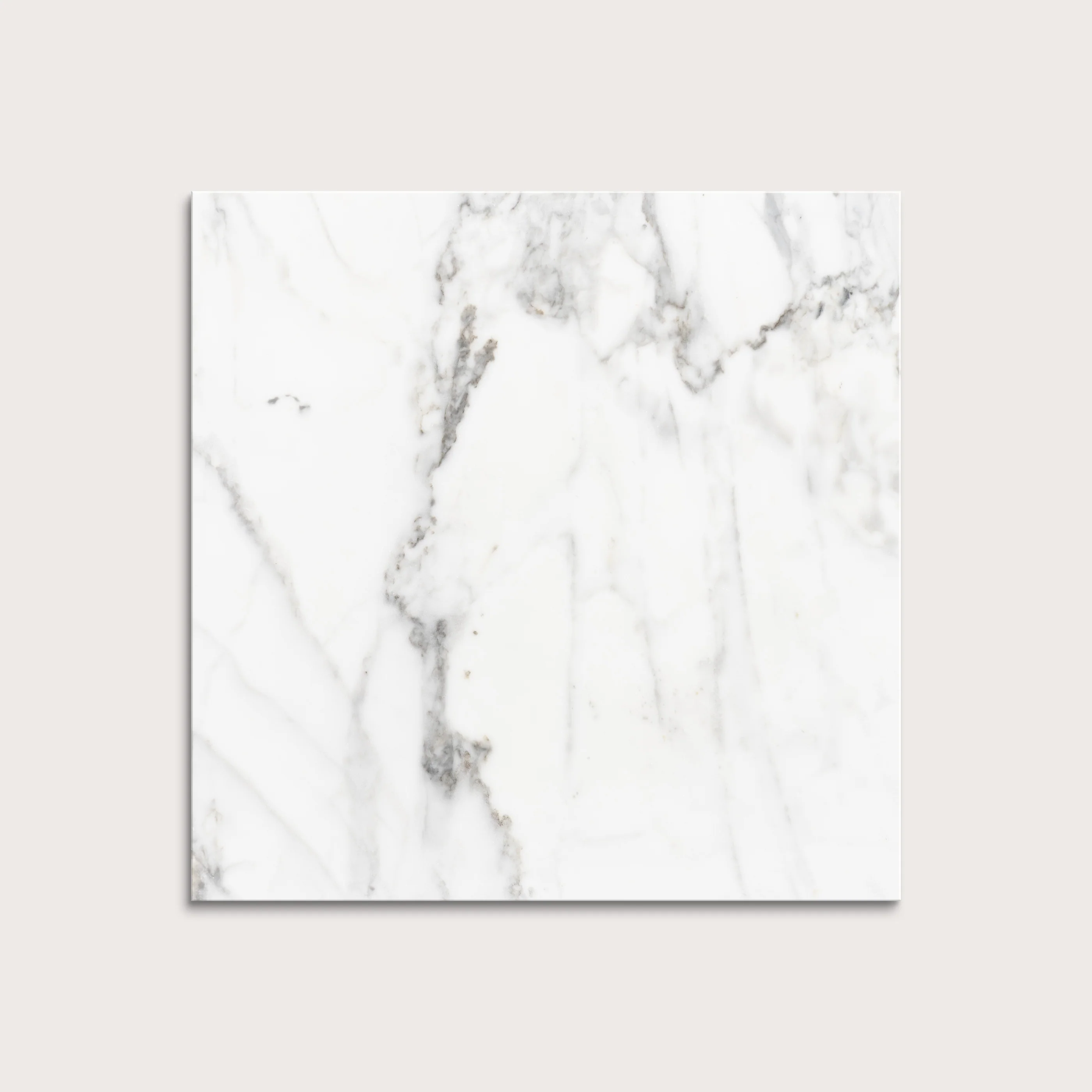 Italian Statuary 12x12 Marble | Honed - Image 7