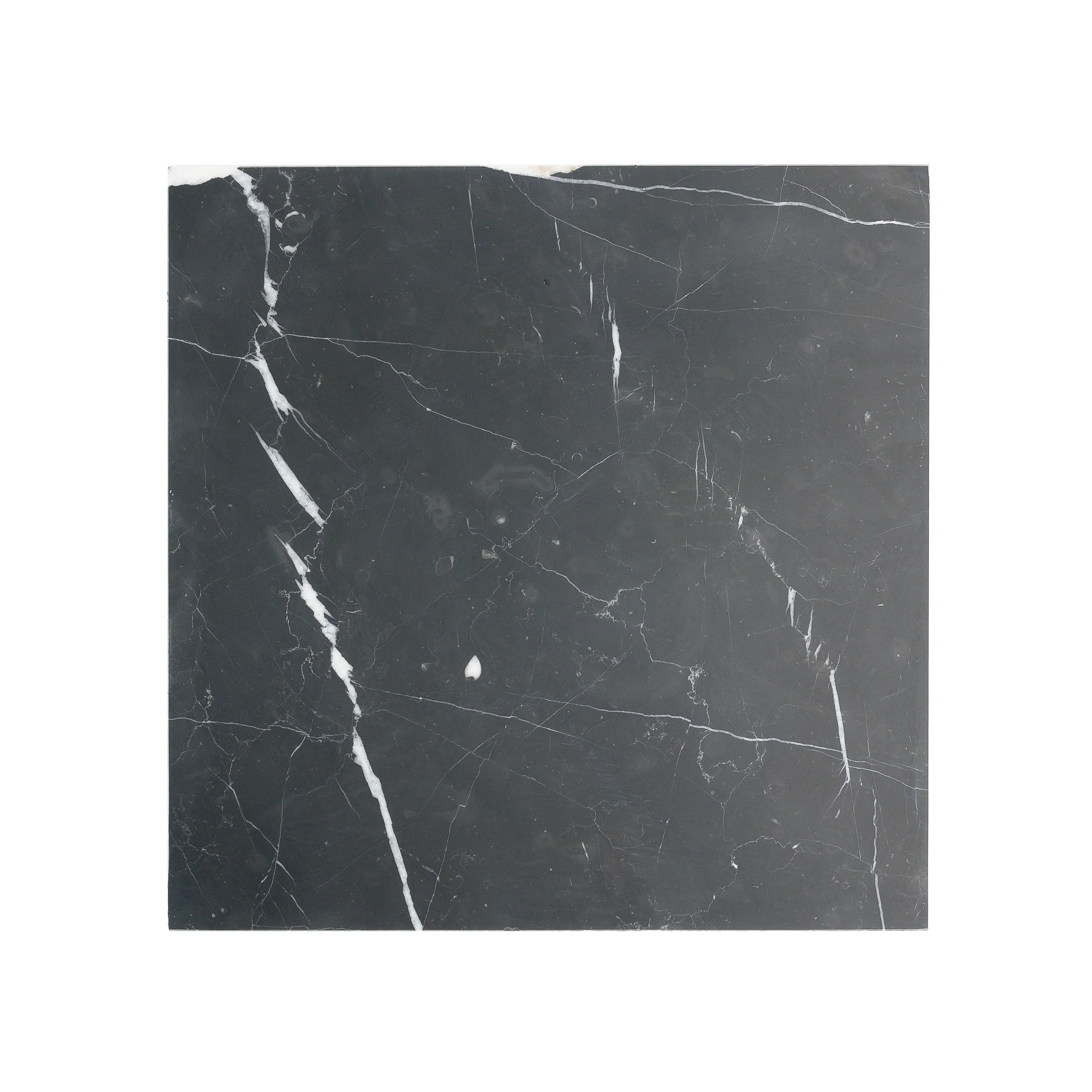 Nero Marquina 18x18 Marble Tile | Honed - Image 4