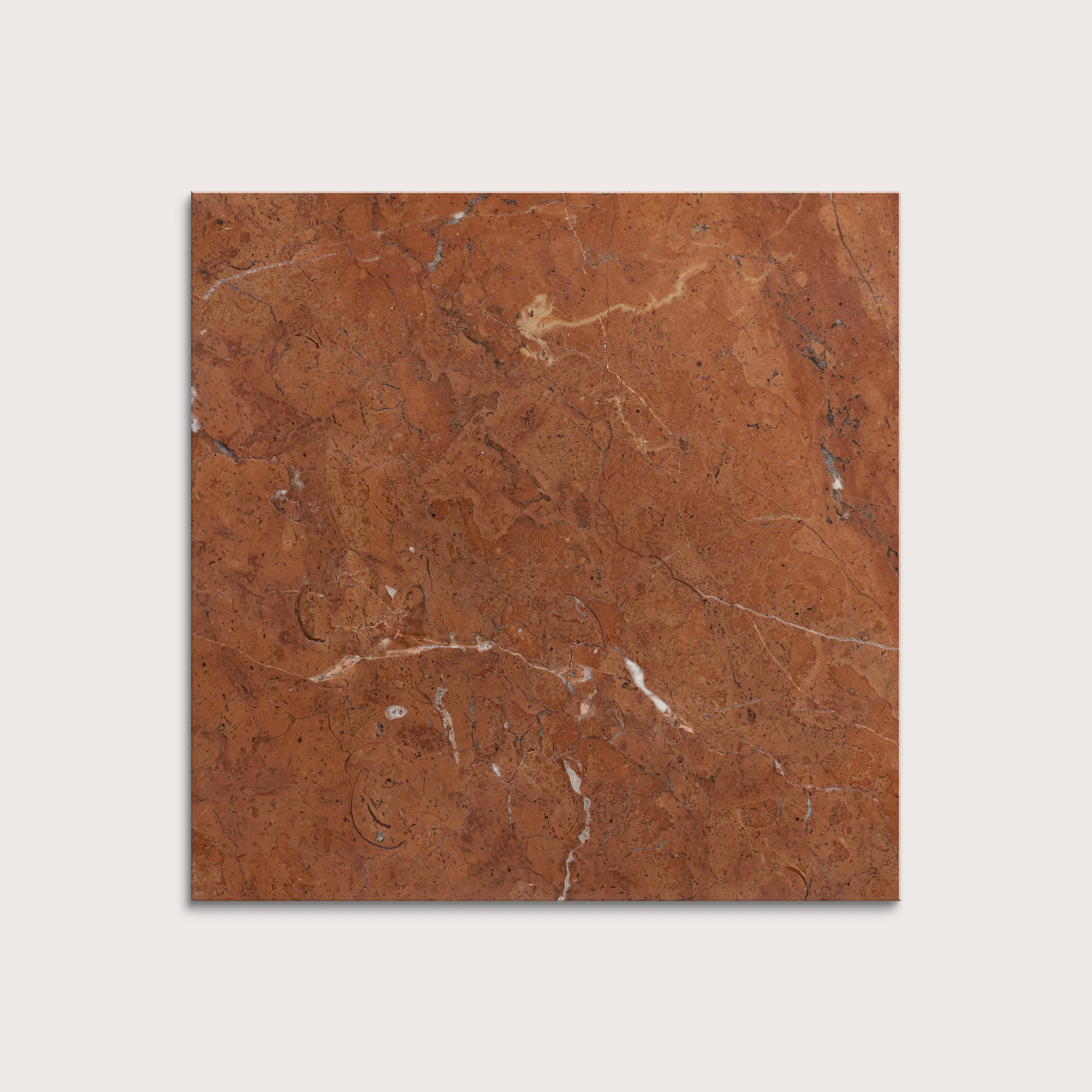 Rosso Alicante 12x12 Marble | Honed - Image 6