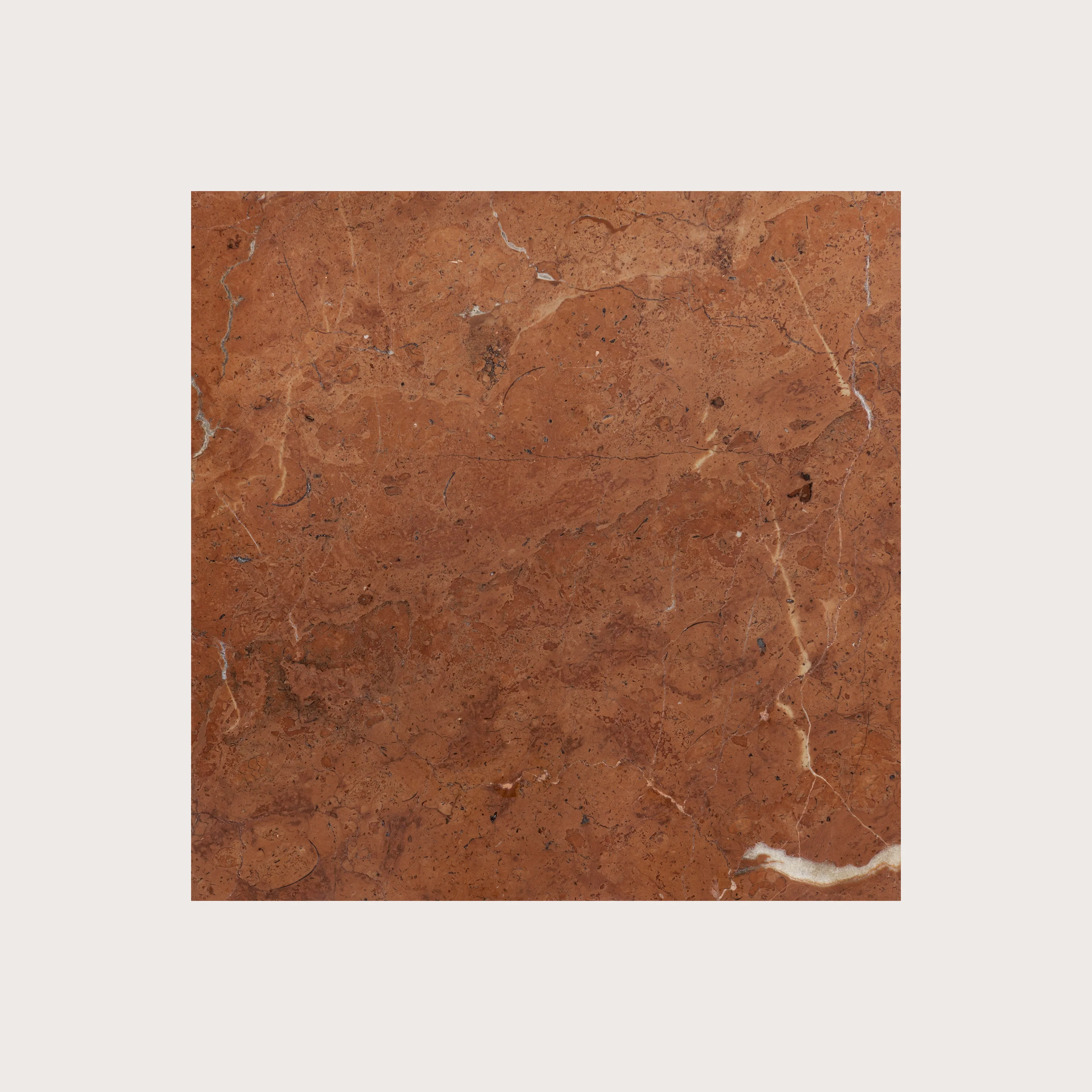 Rosso Alicante 12x12 Marble | Honed - Image 7