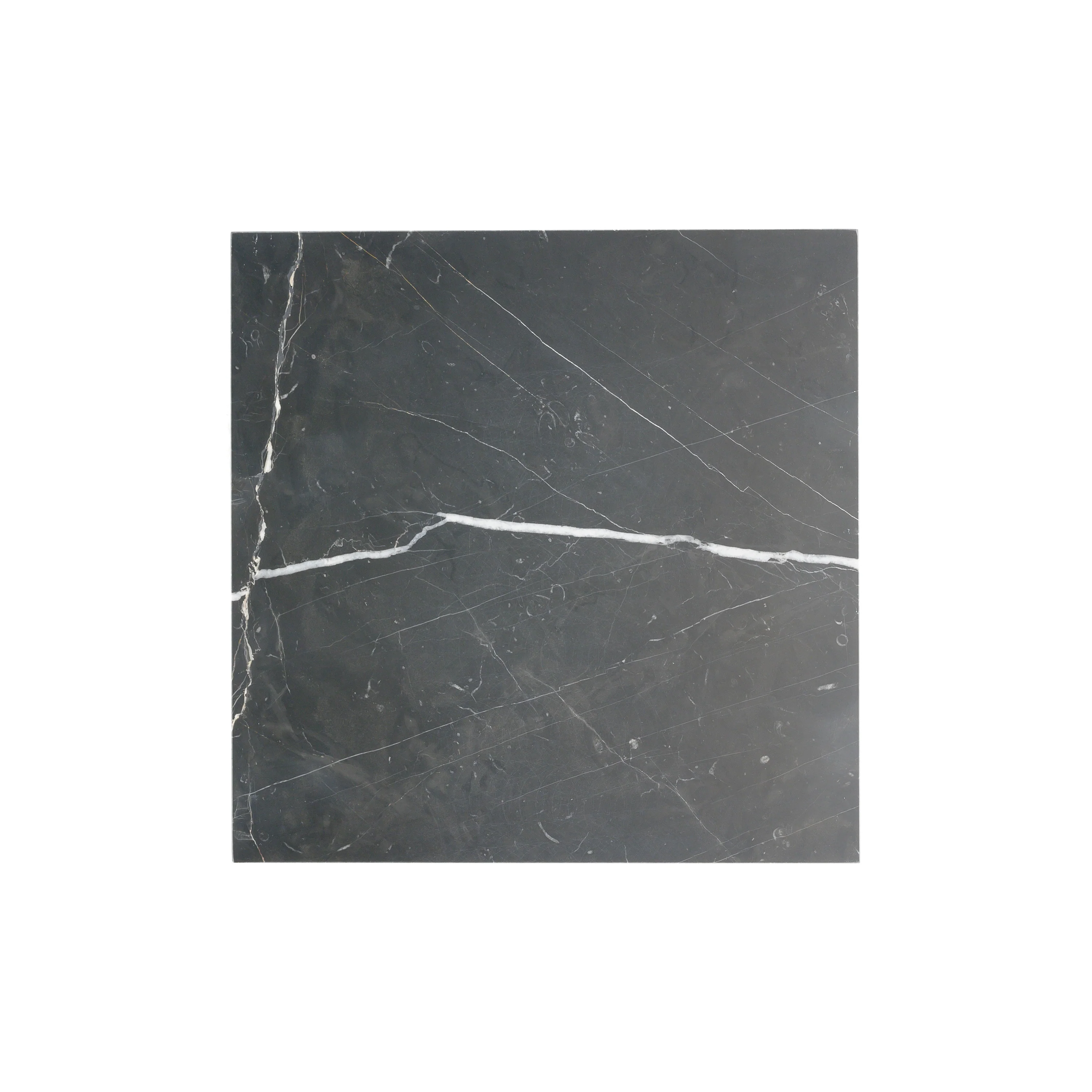 Sample: Nero Marquina Marble Tile | Honed