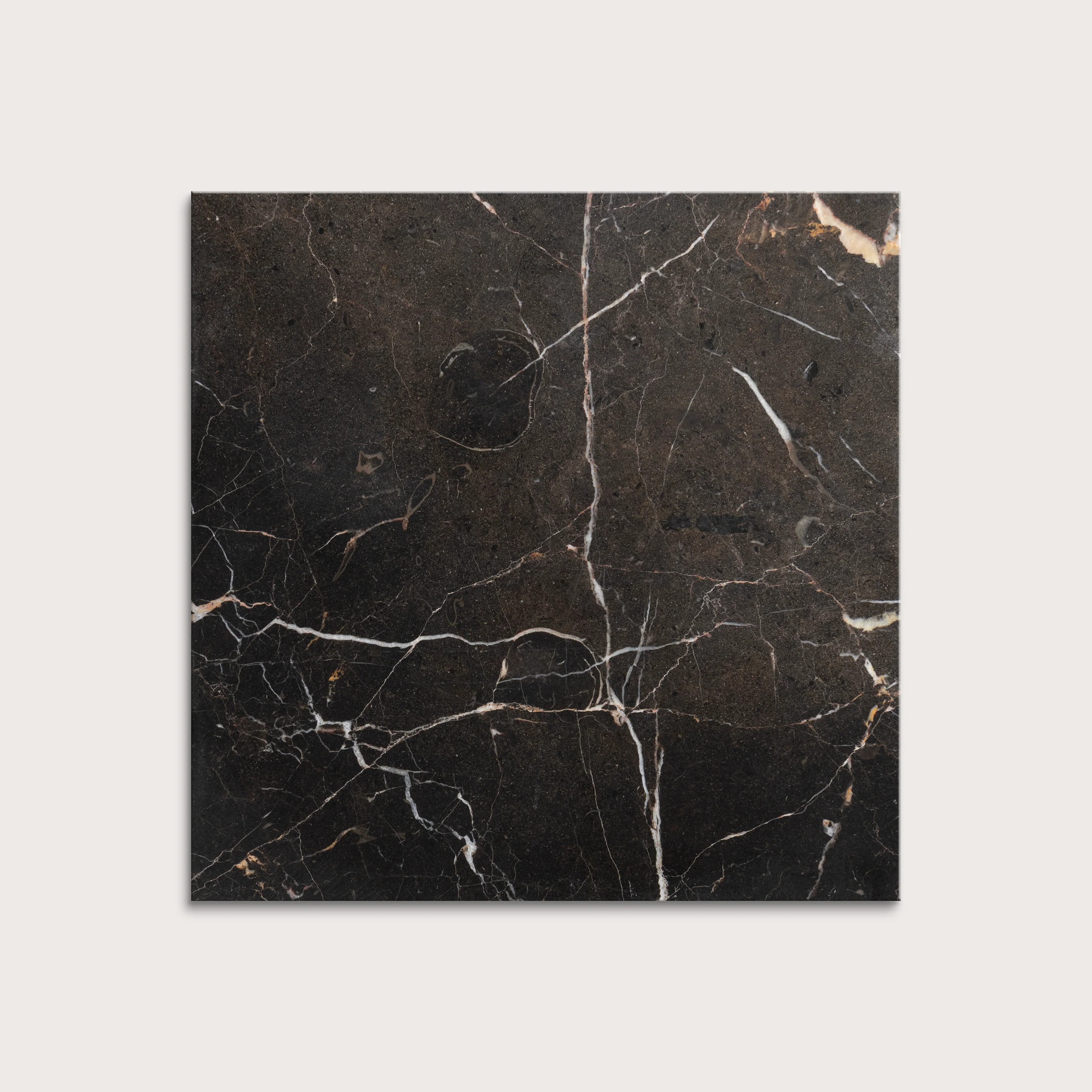 Truffle 12x12 Marble | Honed - Image 5