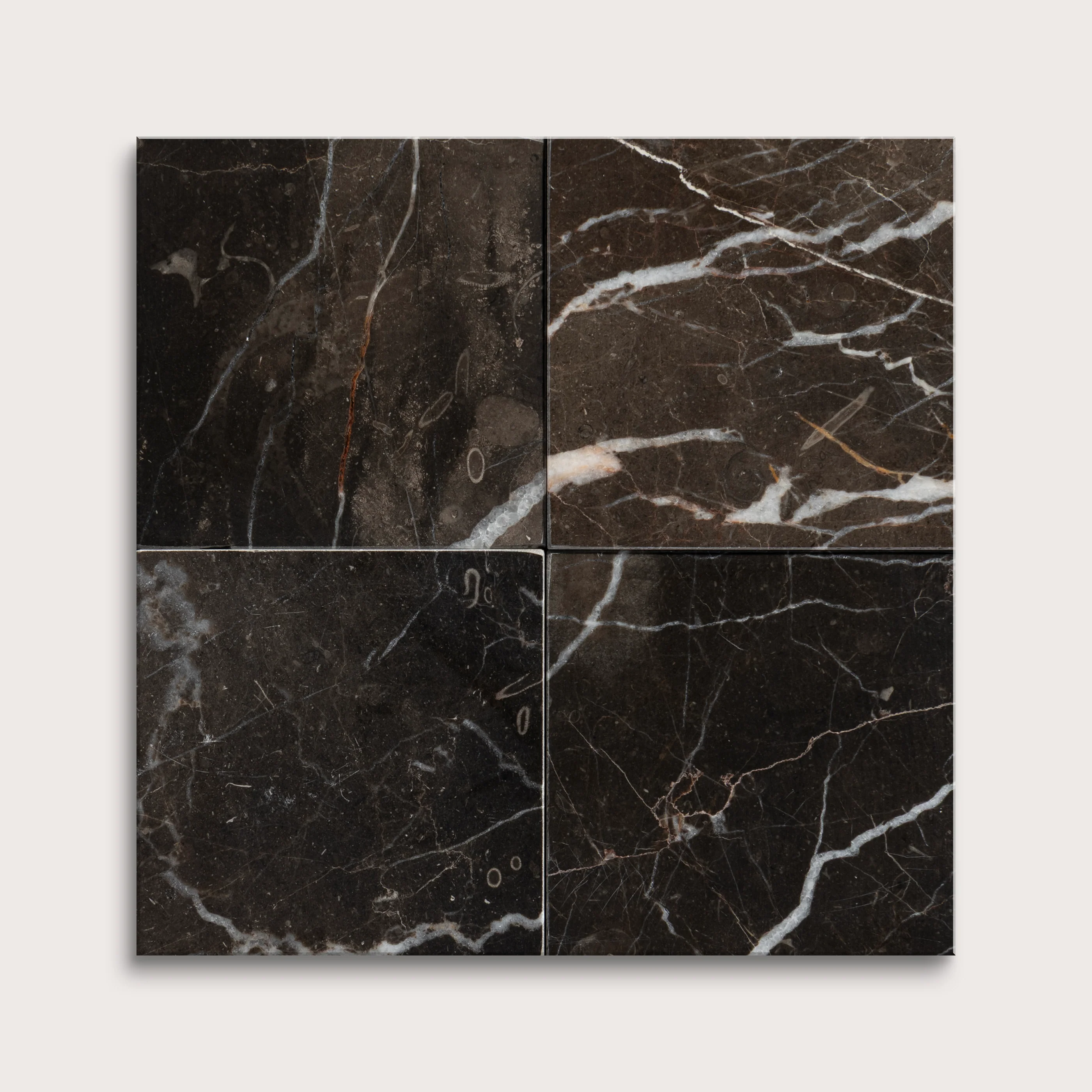 Truffle 4x4 Marble | Honed