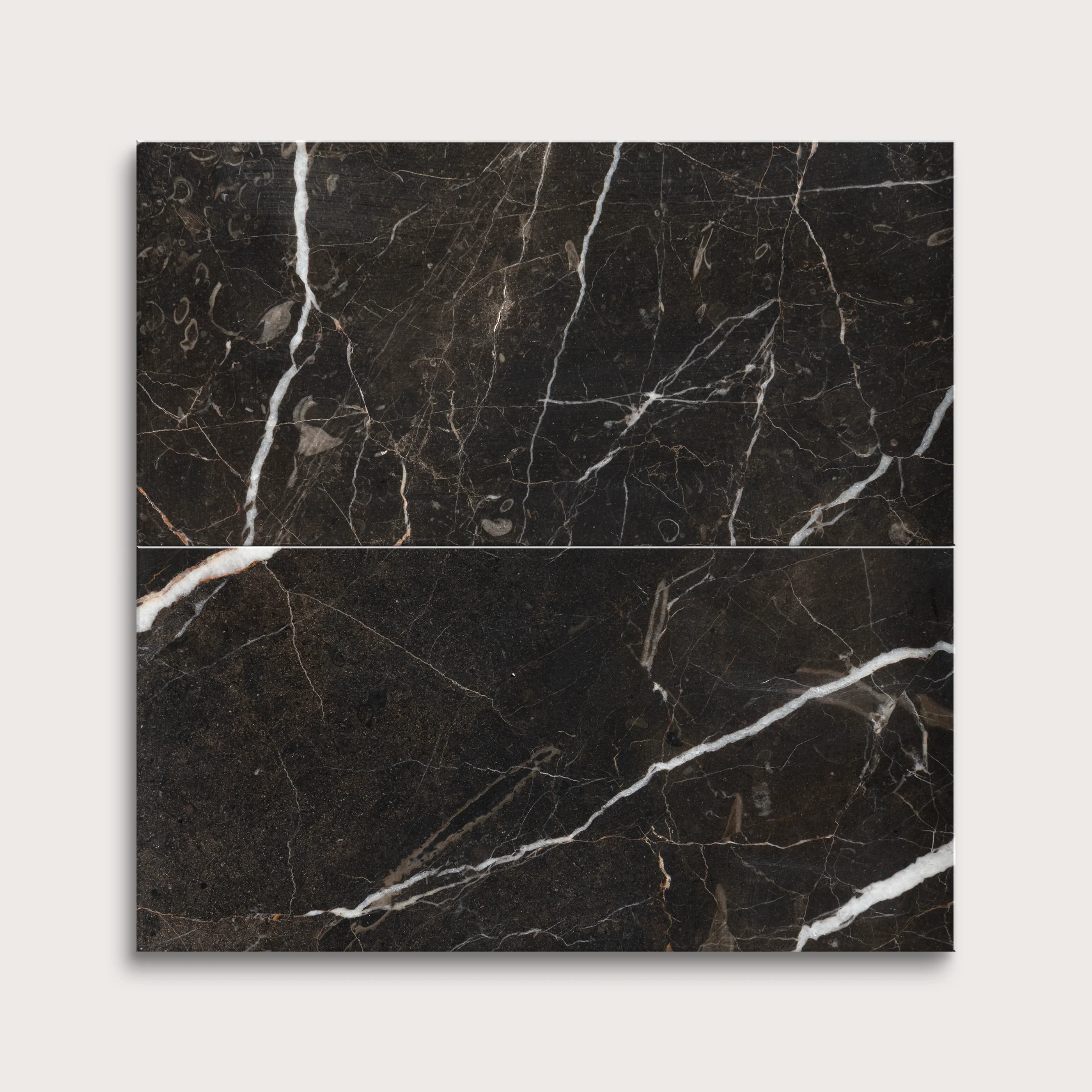 Truffle 6x12 Marble | Honed