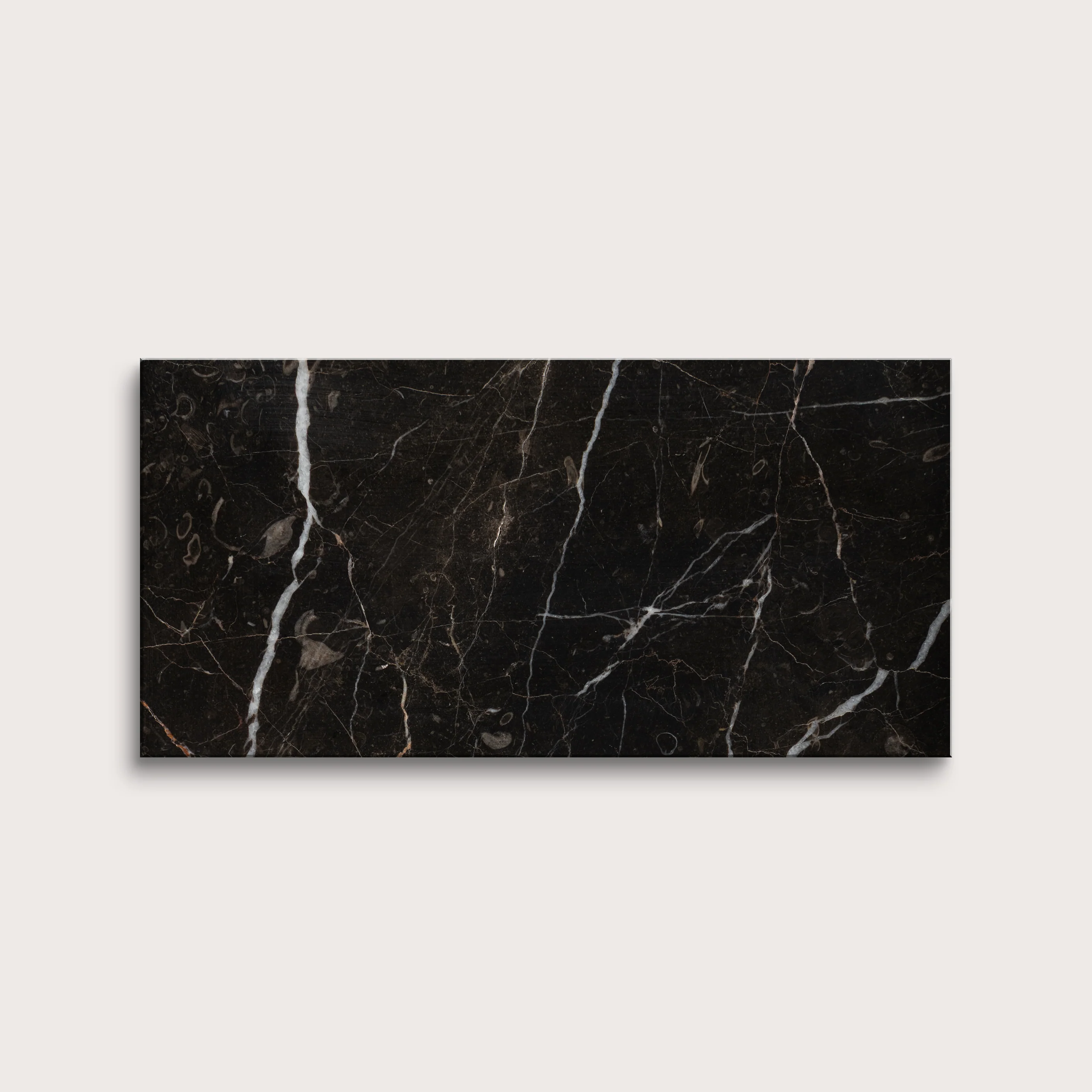 Truffle 6x12 Marble | Honed - Image 2